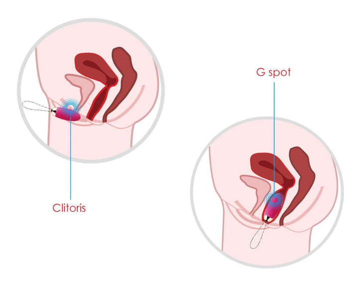 Svakom Elva vibrator ei - rood