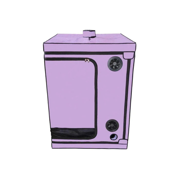 Skandal - Purple | Secret Dome - SIN&LACE | SIN&LACE