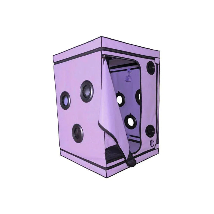 Skandal - Purple | Secret Dome - SIN&LACE | SIN&LACE