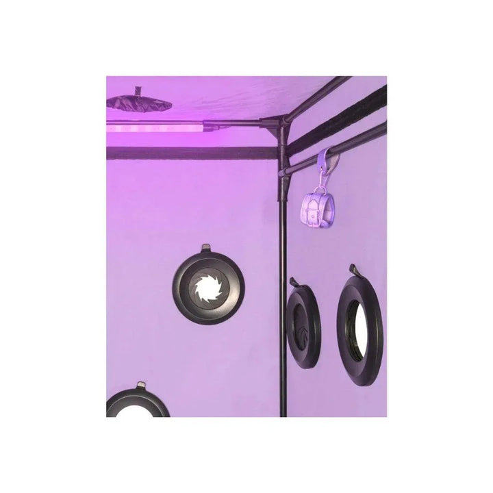 Skandal - Purple | Secret Dome - SIN&LACE | SIN&LACE