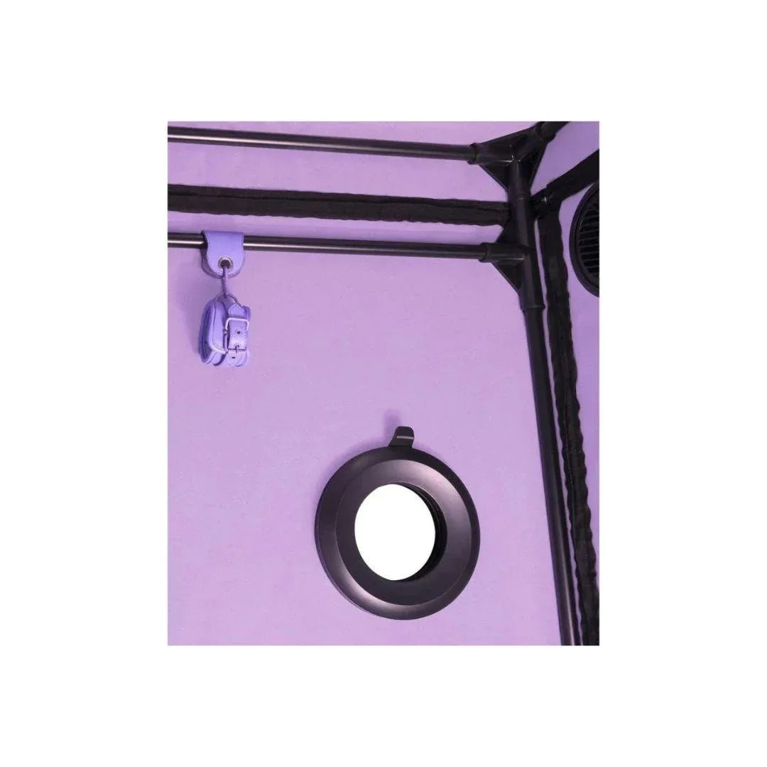 Skandal - Purple | Secret Dome - SIN&LACE | SIN&LACE