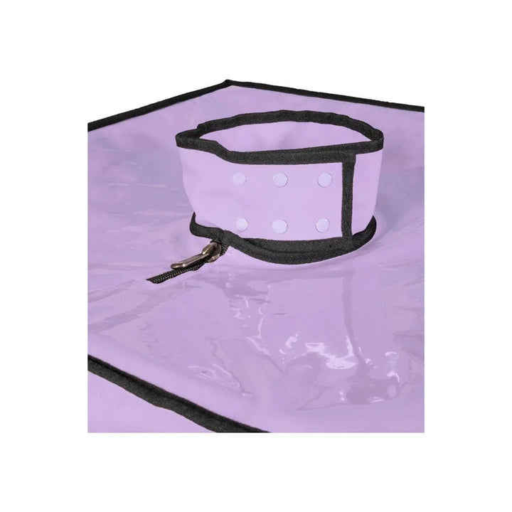 The Secret - Purple | Secret Dome - SIN&LACE | SIN&LACE